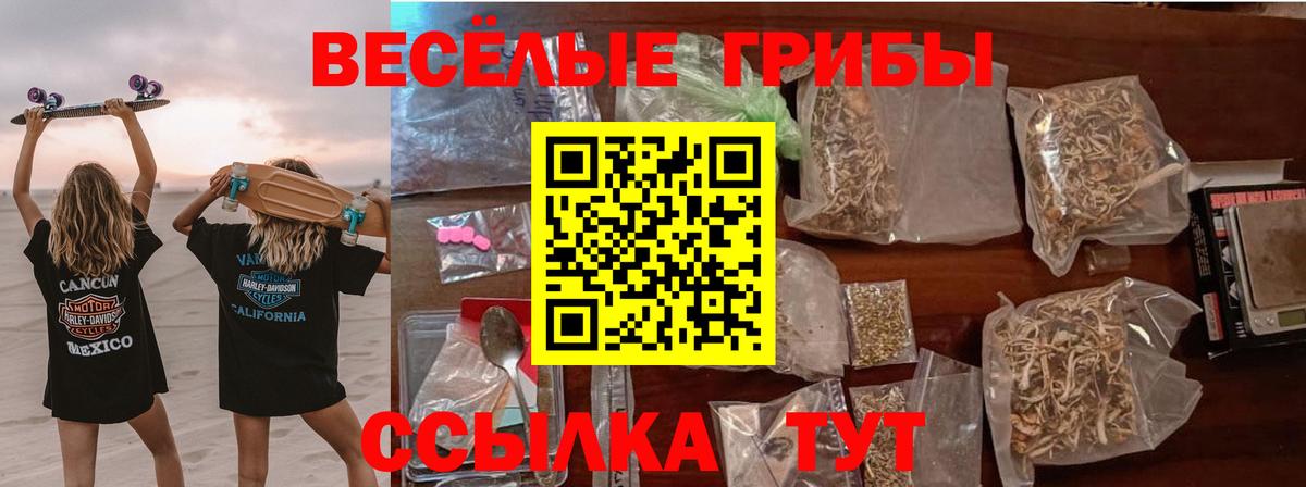 Псилоцибиновые грибы прущие грибы  Вход с VPN  Губкинский 