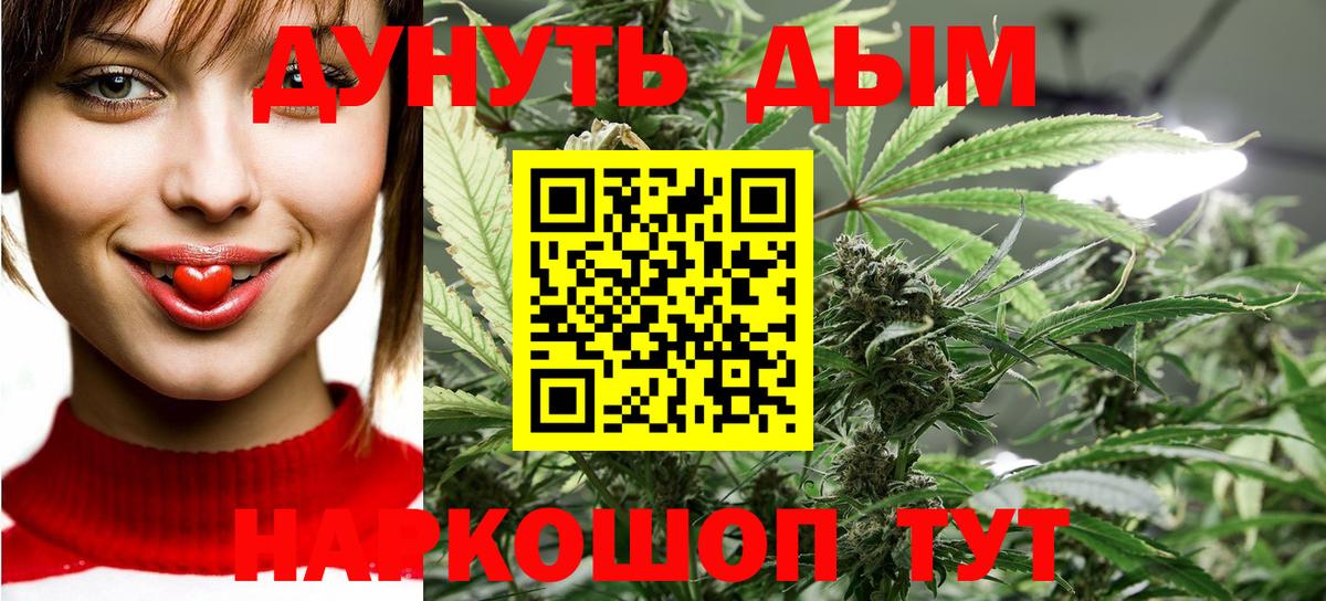 Канабис ГИДРОПОН Губкинский